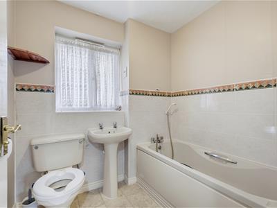 Picture 23